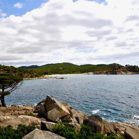 Apartamento Playa De La Fosca-sei302